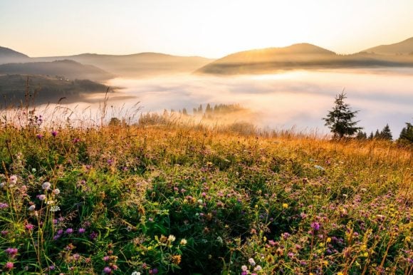 Mist over hills at sunset